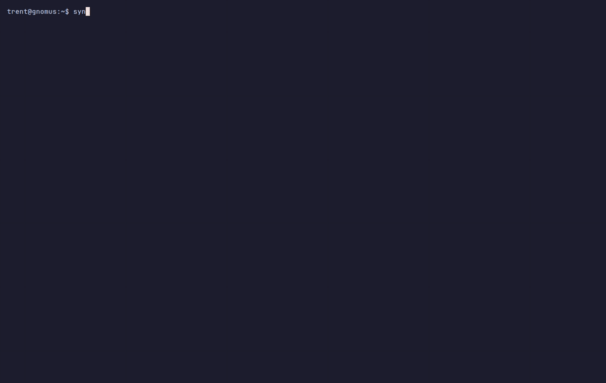 Synth — running in the terminal